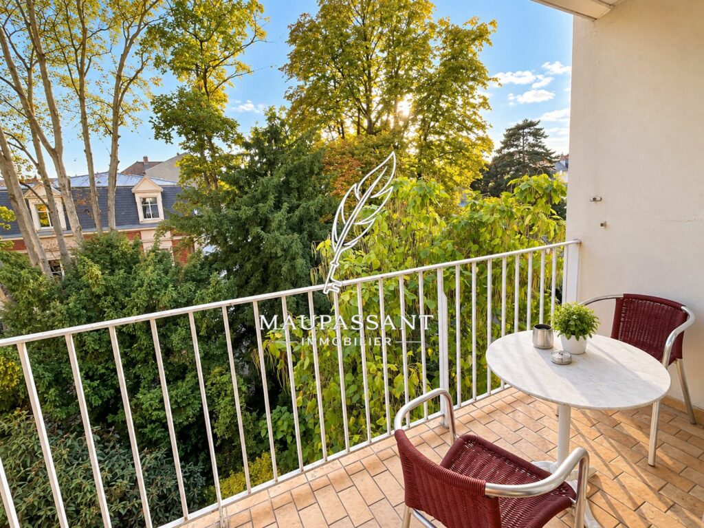 Terrasse vue sur splendide maison de Maitre Mulhouse